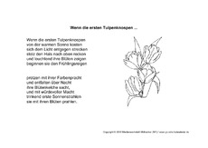 Wenn-die-ersten-Tulpenknospen-2.pdf